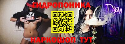 гашик Пушкино