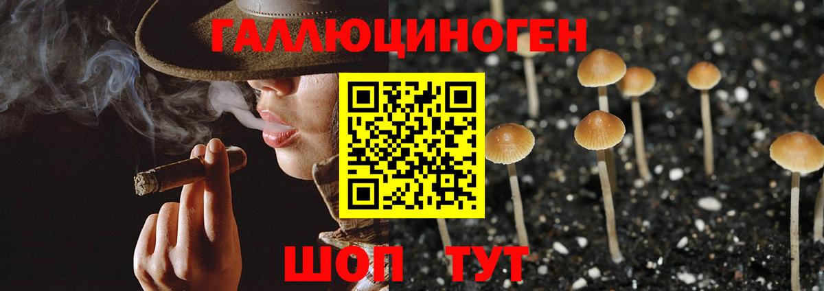 Галлюциногенные грибы Psilocybine cubensis Соликамск